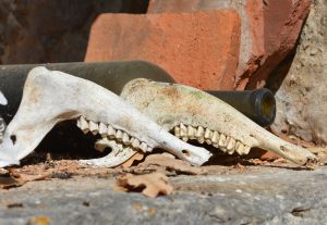 Yua Hua un ancien dentiste 