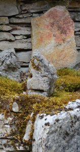 Quinzinzinzili : roman féroce au titre étrange
