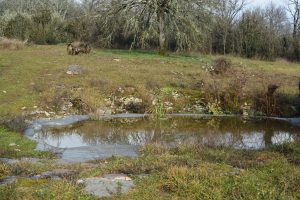 Histoires d'eaux 