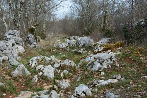 Histoires d'eaux : un sentier caillouteux jusqu'à un bassin