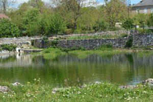 Histoires d'eaux : autre lac de Saint-Namphaise