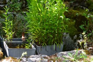 Histoires d'eaux : 